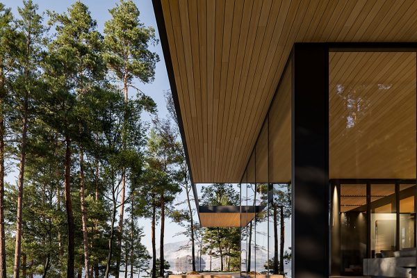 School-ing_trabajos_Alumnos2022_Pablo_004